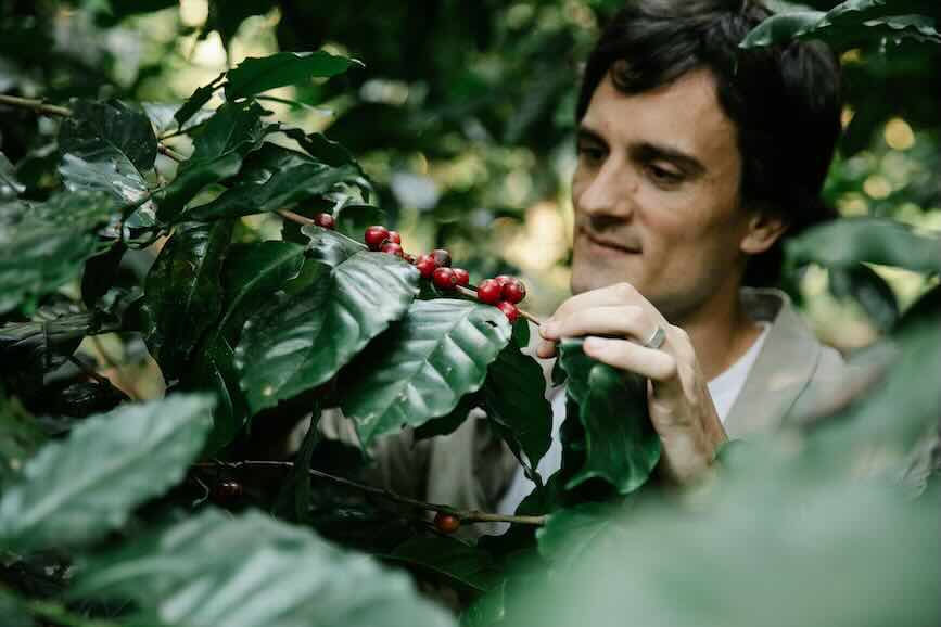 Coffee Revolution